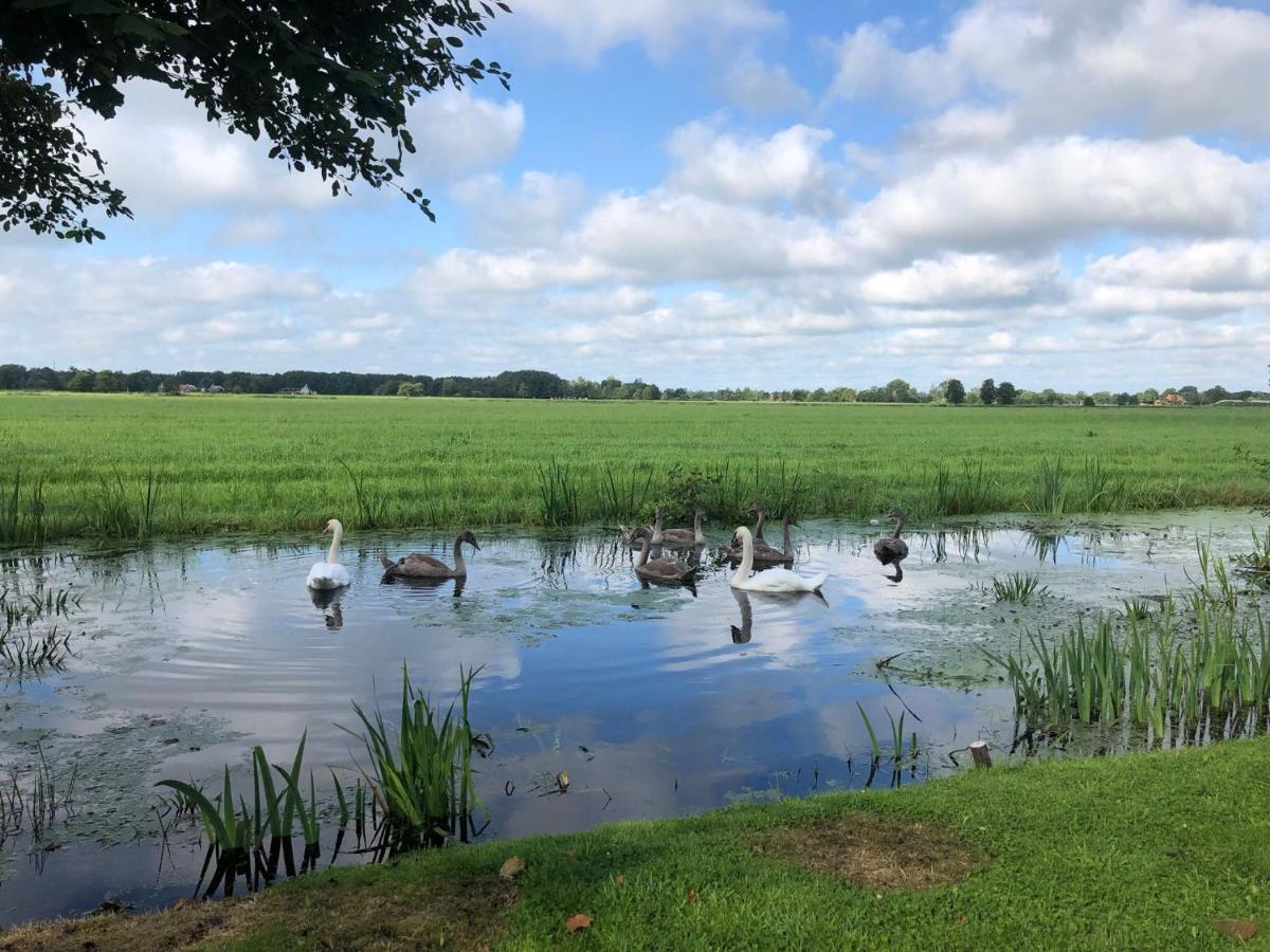 Prive In Een Bosrijke Omgeving Welkom Bij Gastenverblijf Het Ontsnapte Schaap In Jubbega Luaran gambar
