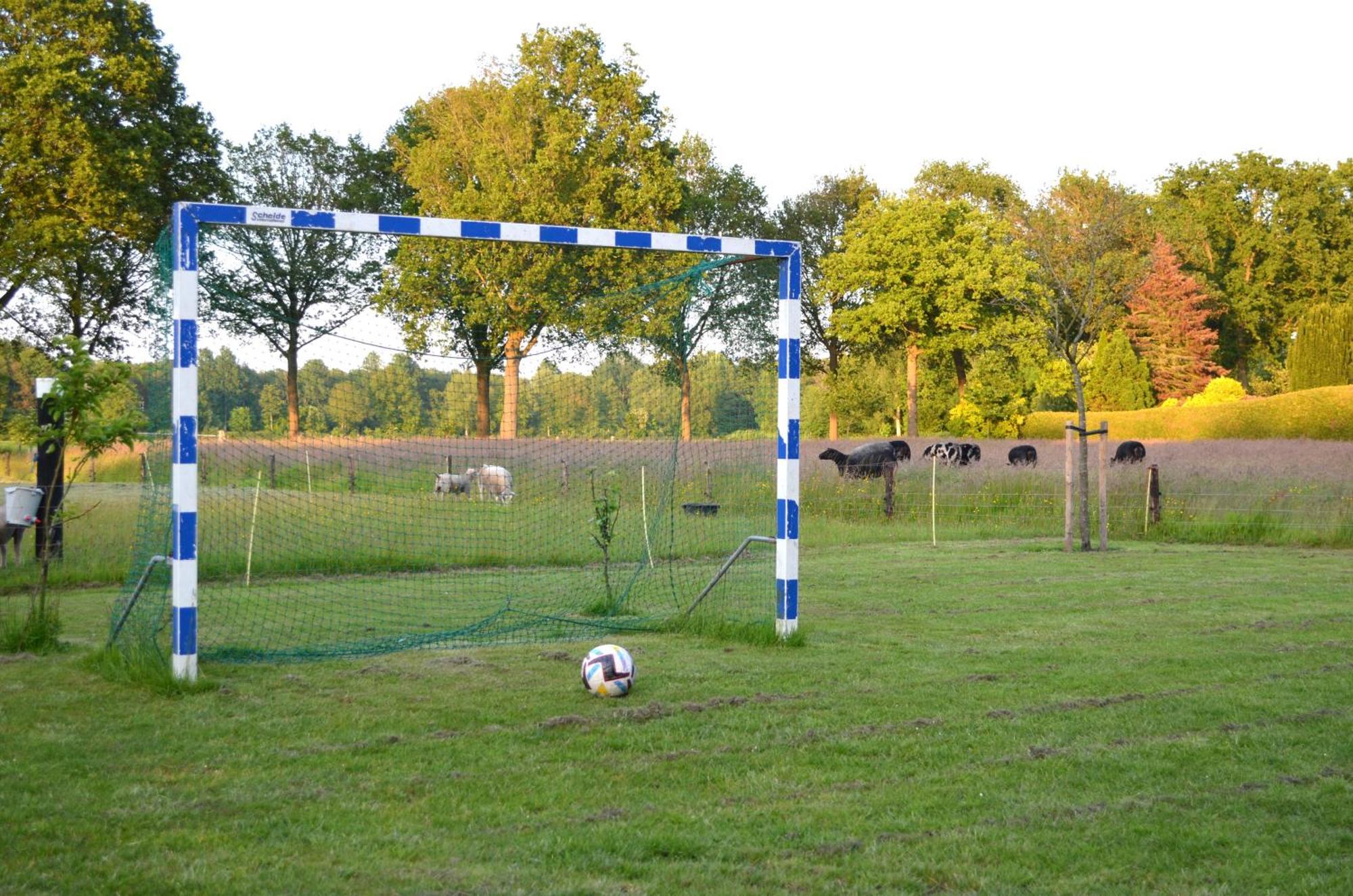 Prive In Een Bosrijke Omgeving Welkom Bij Gastenverblijf Het Ontsnapte Schaap In Jubbega Luaran gambar
