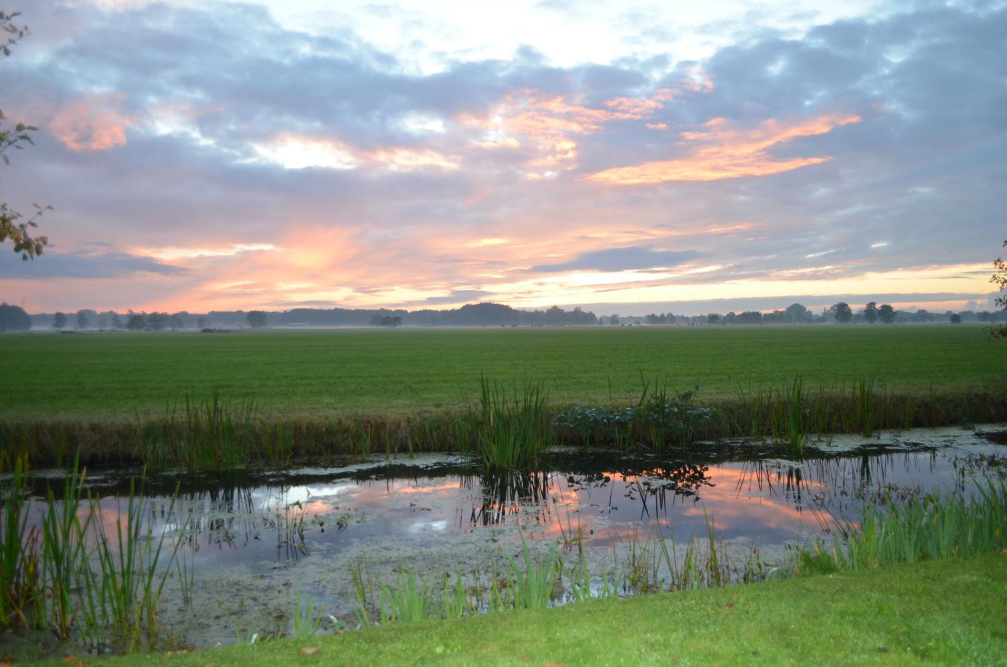 Prive In Een Bosrijke Omgeving Welkom Bij Gastenverblijf Het Ontsnapte Schaap In Jubbega Luaran gambar